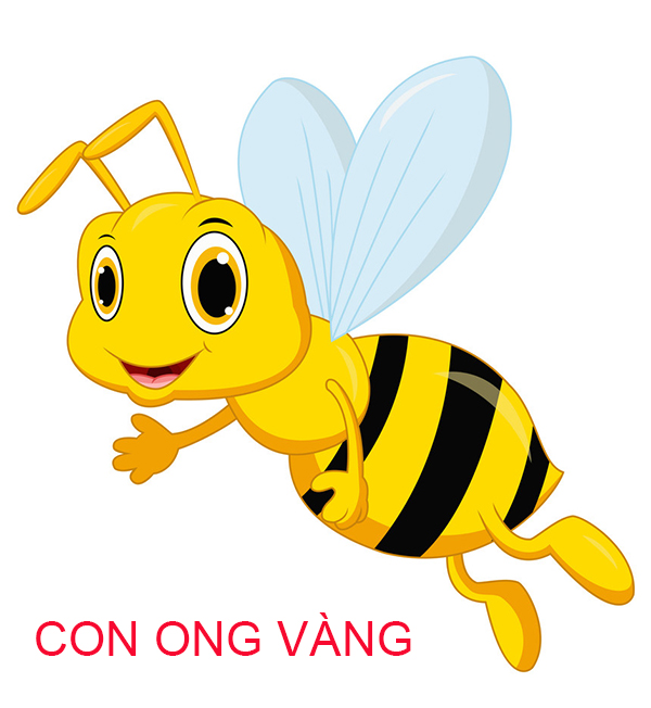 Hình ảnh ong mật  con ong png tải về  Miễn phí trong suốt ống png Tải về