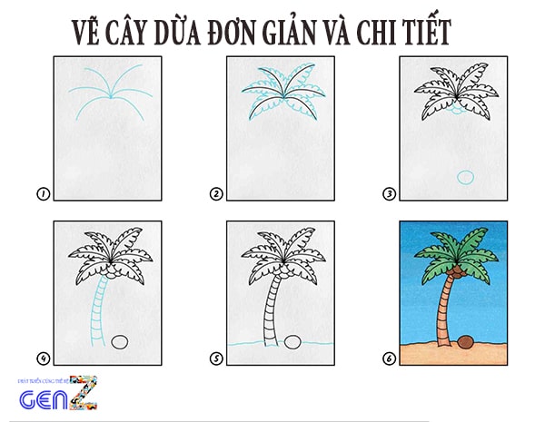 Vẽ cây dừa đơn giản 3