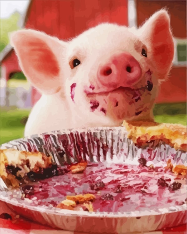 99+ Hình Ảnh Con Lợn Đang Ăn Siêu Cute “Cưng Xỉu”