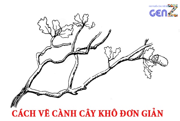 Hướng Dẫn Bé Vẽ Cành Cây Khô Bằng Bút Chì Đơn Giản, Chi Tiết Nhất