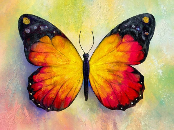 Hình ảnh tranh vẽ con bướm 10