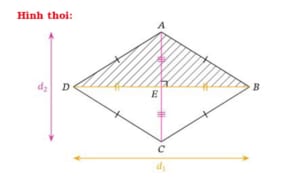 Hình thoi là gì? Chu vi, diện tích, dấu hiệu nhận biết và ví dụ