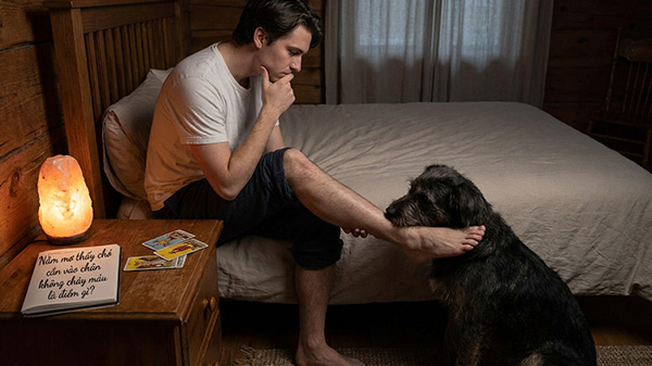 giải mã nằm mơ thấy chó cắn vào chân không chảy máu