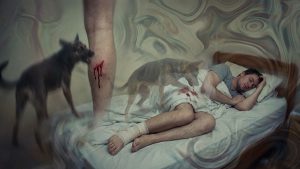 nằm mơ thấy chó cắn vào chân chảy máu