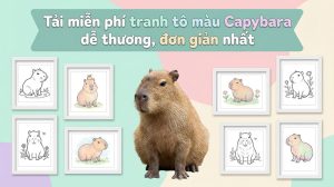 tranh tô màu capybara